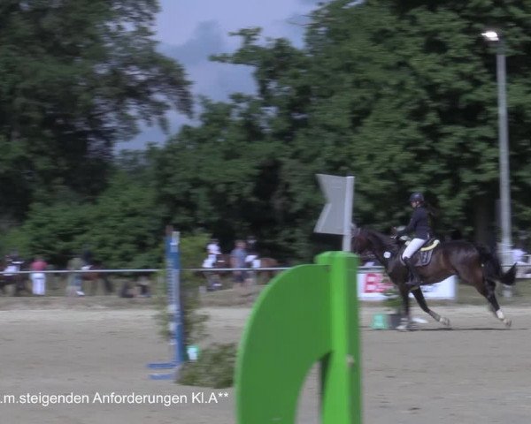 Reitturnier Coesfeld/Lette 2021