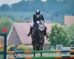 dressage horse Condero D (Hanoverian, 2005, from Contendro I)