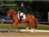 dressage horse Ruben's Aurora (KWPN (Royal Dutch Sporthorse), 2005, from Ruben G)