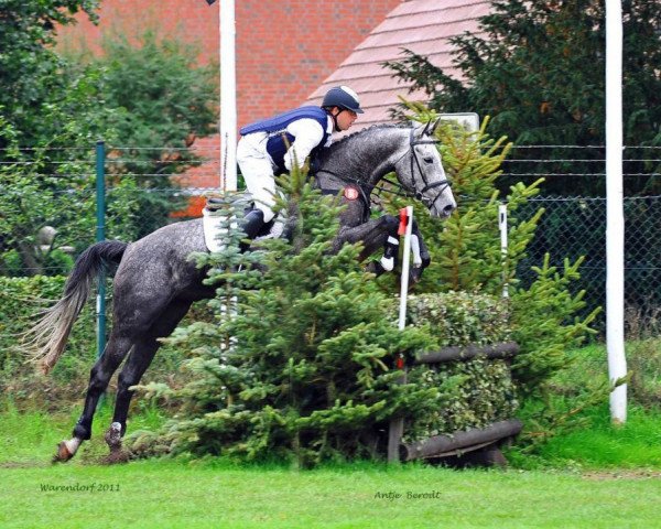 jumper Lothar (German Sport Horse, 2006, from Levisto's Big Boy)