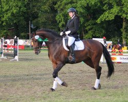 dressage horse Queensberry 9 (Westphalian, 2007, from Quinta Real)