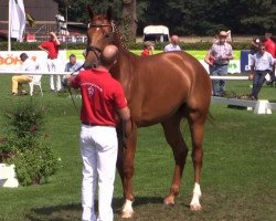 broodmare Fiola (Westphalian, 2011, from First Selection)