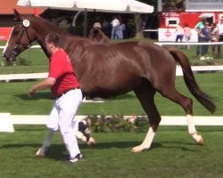 broodmare Esperia (Westphalian, 2010, from Estobar NRW)