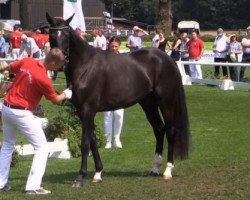 broodmare Dad's Darling PL (Rhinelander, 2011, from De Niro)