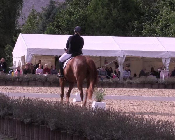 Bergische Dressurtage Lindlar - Reitanlage Dückers 2021