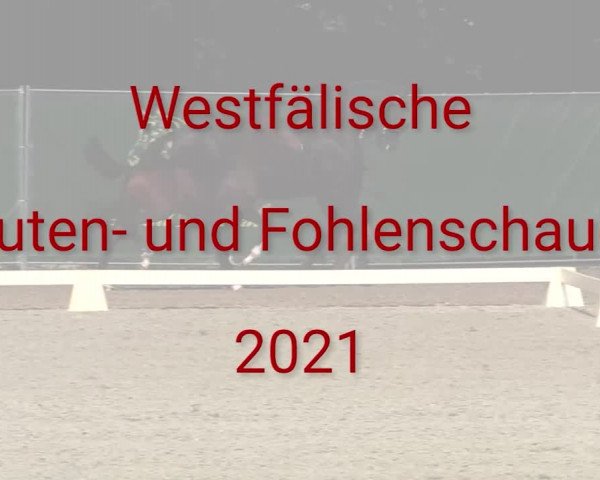 Stuten- und Fohlenschau Petershagen-Friedewalde 2021