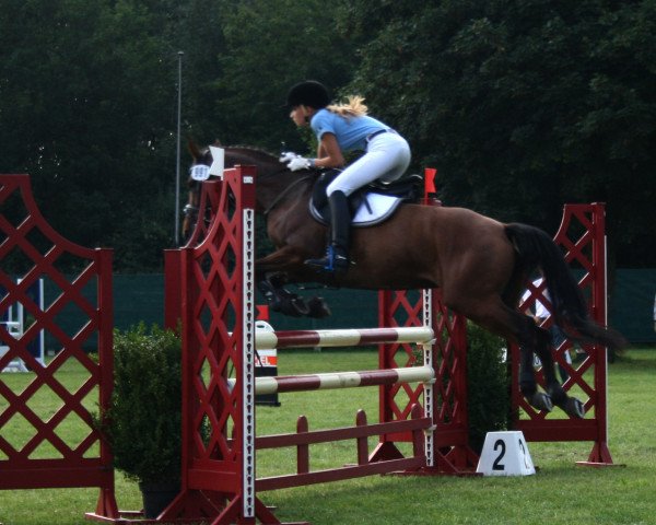 jumper Miley 3 (German Riding Pony, 2009, from Monaco)