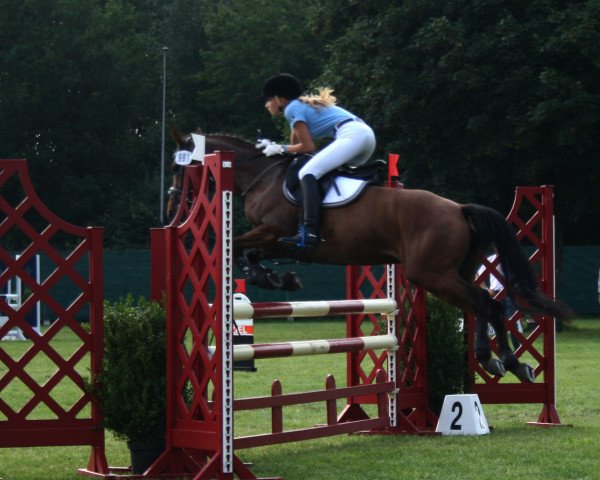 Springpferd Miley 3 (Deutsches Reitpony, 2009, von Monaco)