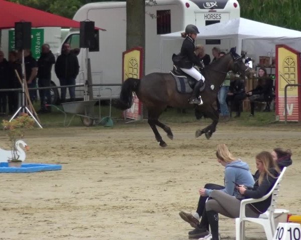 Reitturnier Willich-Anrath-Neersen 2021