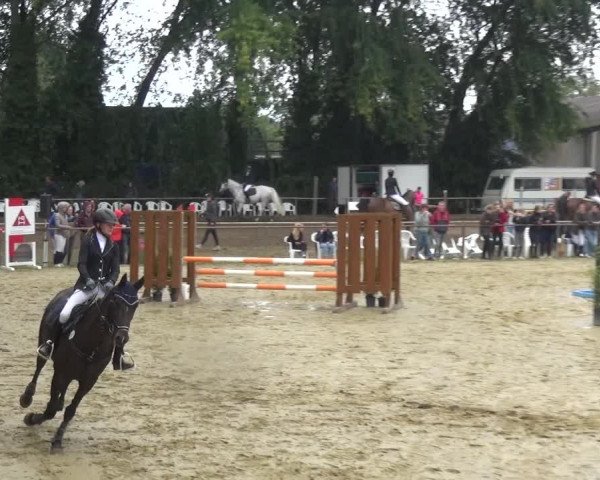 Reitturnier Willich-Anrath-Neersen 2021