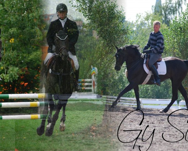 broodmare Gy Santen (Czech Warmblood, 2000, from Grand Step)