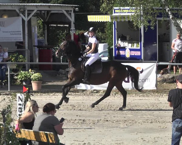 Reitturnier Neunkirchen-City 2021
