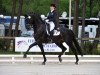 stallion Rubinio NRW (Westphalian, 2003, from Rubin Royal OLD)