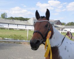 broodmare Urania (Lewitzer, 2004, from Gharib)