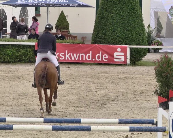 Pferd und Mensch St.Wendel, Gestüt Welvert 2021