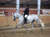 dressage horse Peppi 25 (Westphalian, 2004, from Popcorn)