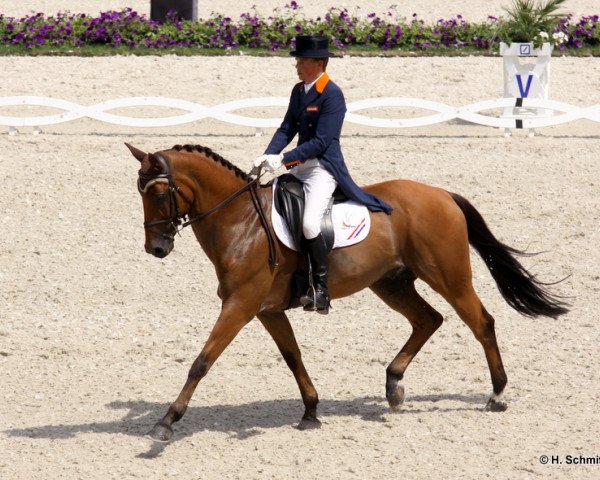 horse Concrex Oncarlos (KWPN (Royal Dutch Sporthorse), 1996, from Faram)