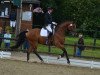 dressage horse Bon Ami 26 (Westphalian, 2009, from Belissimo NRW)