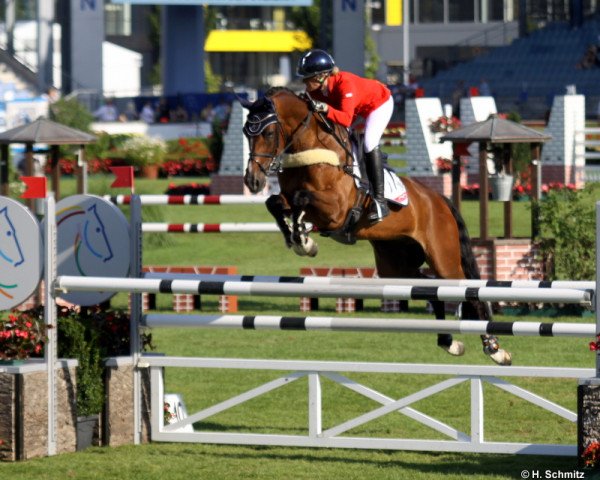 jumper Ducati van den Overdam (Belgian Warmblood, 2003, from Orlando van de Heffinck)