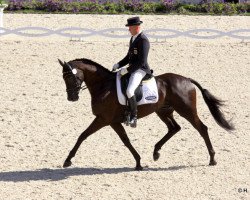 jumper FRH Butts Avedon (Hanoverian, 2003, from Heraldik xx)