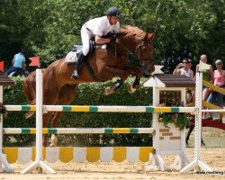 jumper A Lot of Luck (KWPN (Royal Dutch Sporthorse), 2005, from Nabab de Rêve)