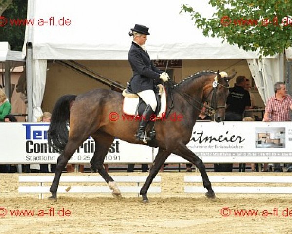 stallion Rapptaenzer (German Warmblood, 1997, from Rapptaenzer)