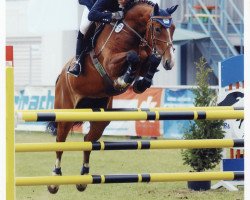 broodmare Grünkehlchen (Hanoverian, 2001, from Graf Top)