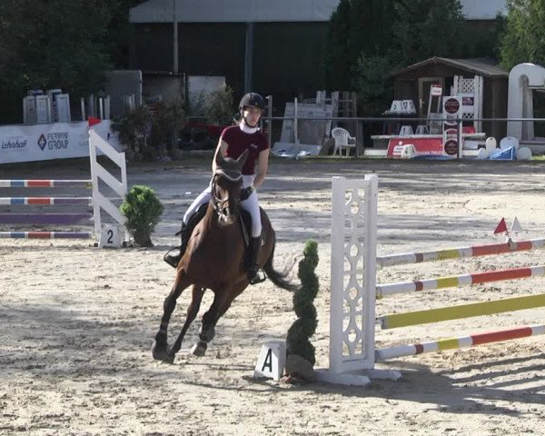 Reitturnier Neunkirchen-City 2021