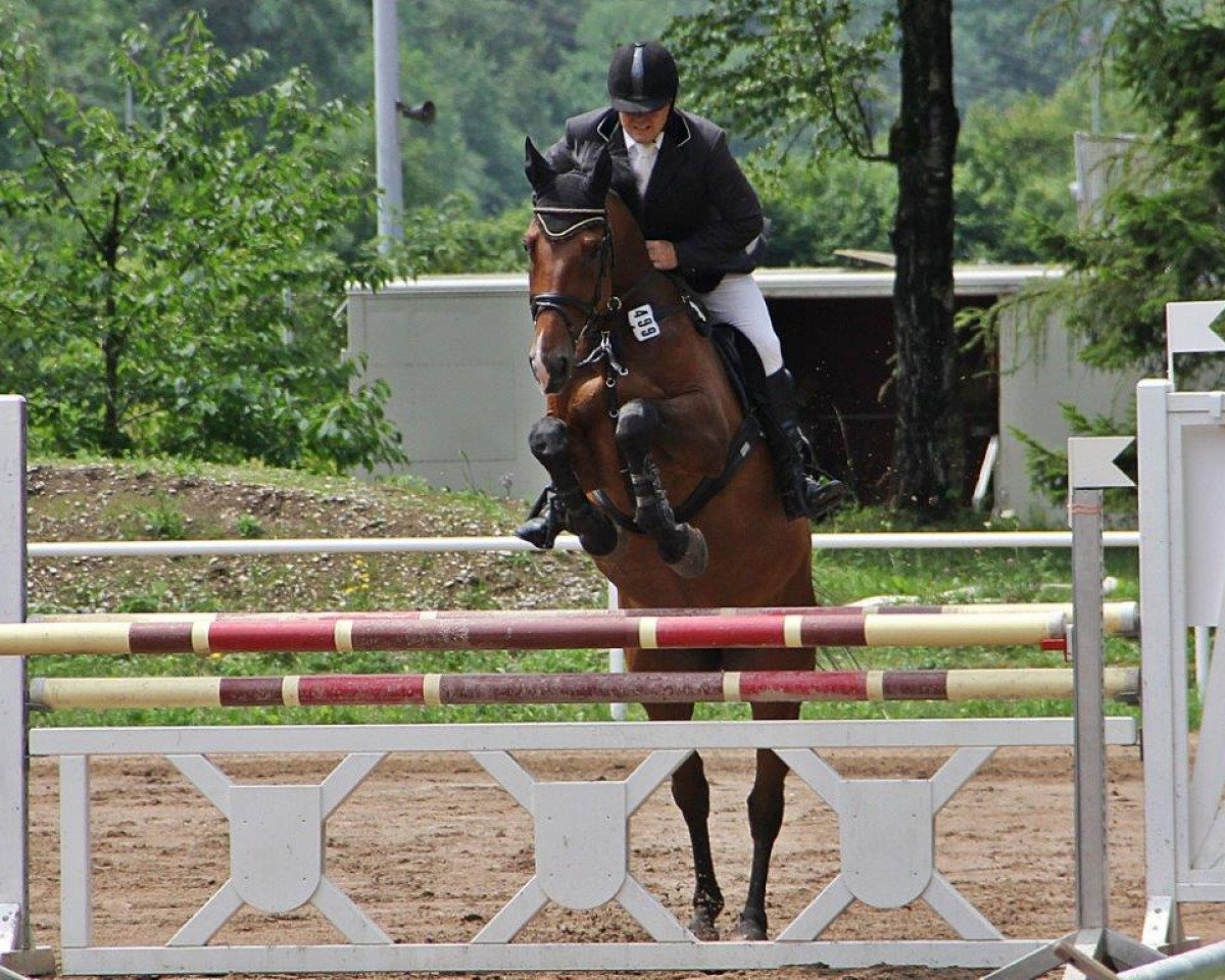 jumper Candimos (Zweibrücken, 2004, from Corleone)