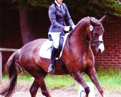 dressage horse Four Colours (Westphalian, 2009, from Florenciano 6)