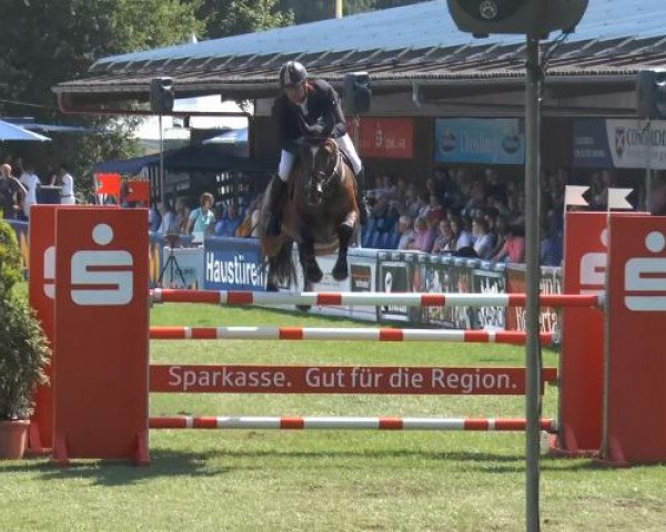 jumper Bocelli (KWPN (Royal Dutch Sporthorse), 2006, from Indoctro)