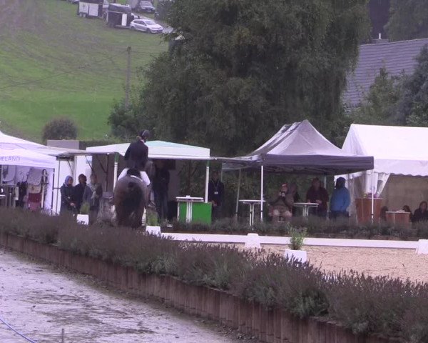 Bergische Dressurtage Lindlar - Reitanlage Dückers 2021