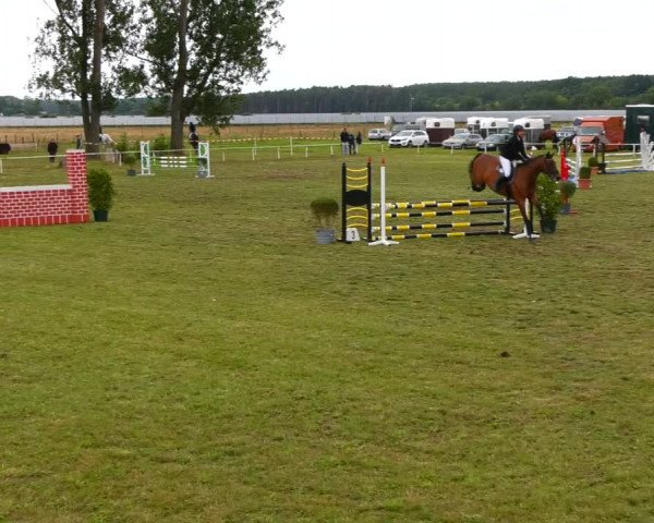 Reitturnier Reckahn 2021