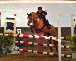 broodmare Piaza K (German Riding Pony, 1997, from Top Nonstop)