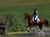 jumper Obora's Bonita (Oldenburg show jumper, 2008, from Carenzo)