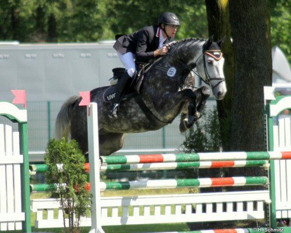 Springpferd Hüpen's Cadett (unbekannt,  )