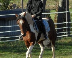 broodmare Susan (Lewitzer, 2004, from Ontario I)