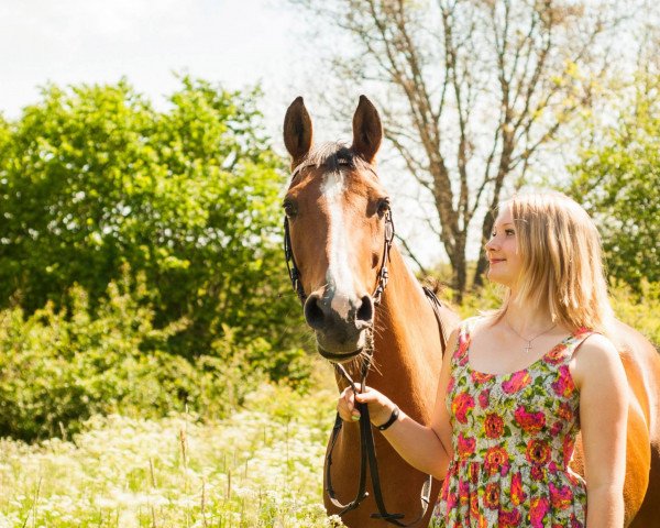 horse Jolien (Nederlands Rijpaarden en Pony, 1996, from Mubar)