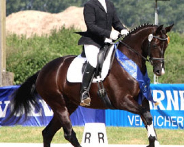dressage horse Sierranova (Hanoverian, 2009, from Sir Donnerhall I)