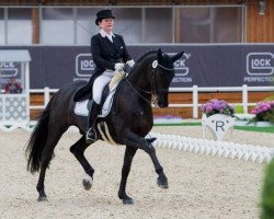 dressage horse Esperanto 4 (Hanoverian, 2001, from Escudo II)