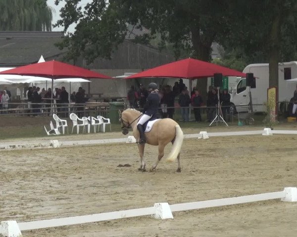 Reitturnier Willich-Anrath-Neersen 2021
