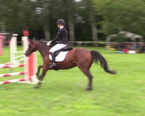 Reitturnier Berlin-Malchow 2021