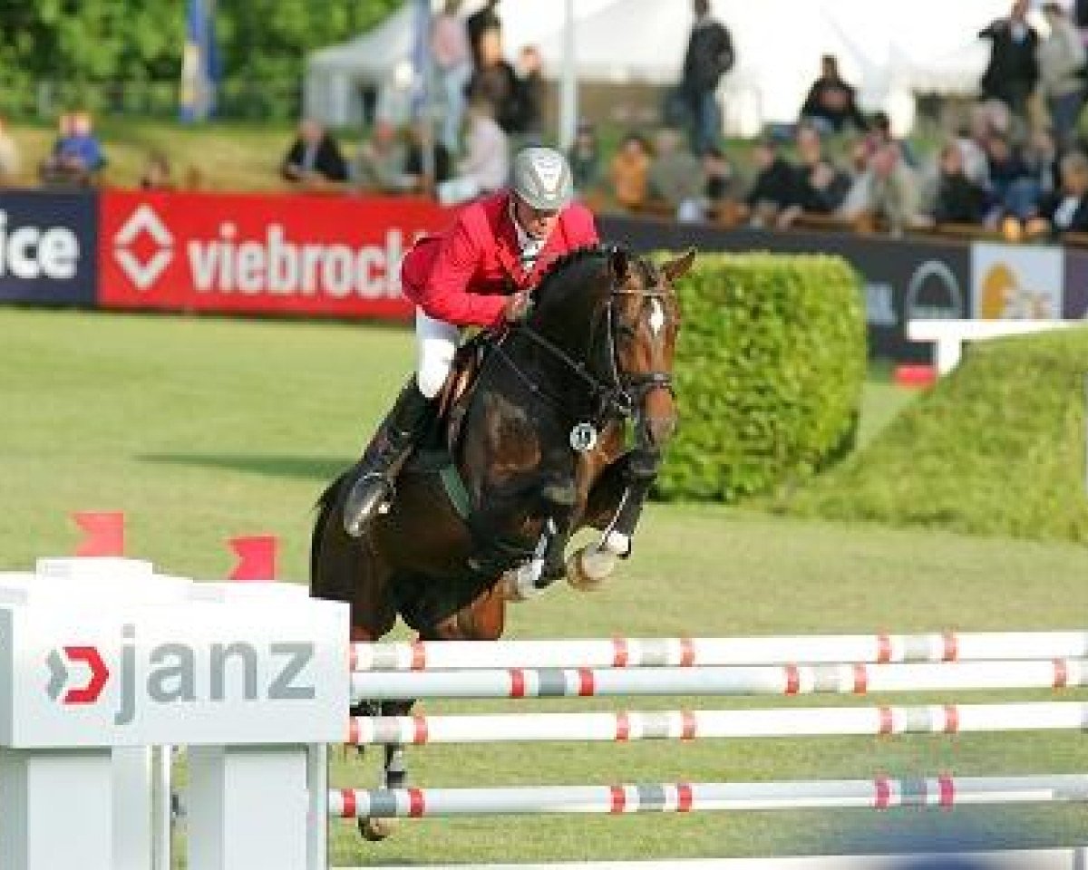Deckhengst Adlantico As (Hannoveraner, 2000, von Adlantus As FRH)