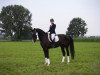 dressage horse Corleone 63 (Bavarian, 2005, from Competent)