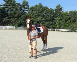 jumper Ratzberna (Hessian Warmblood, 2006, from Ruehmann)