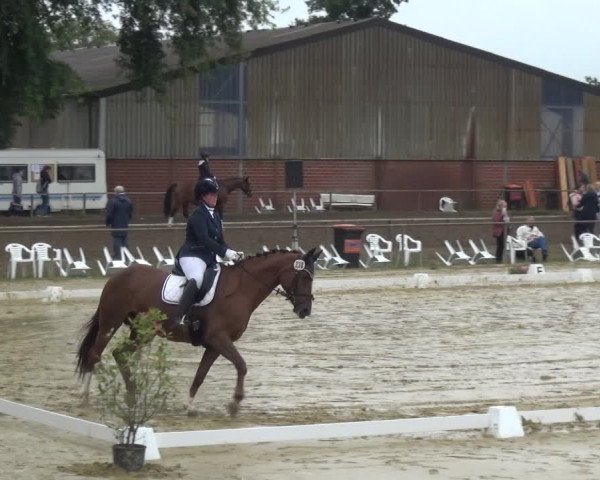 Reitturnier Willich-Anrath-Neersen 2021