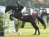 jumper Clayton 38 (Oldenburg show jumper, 2008, from Chin Chin)