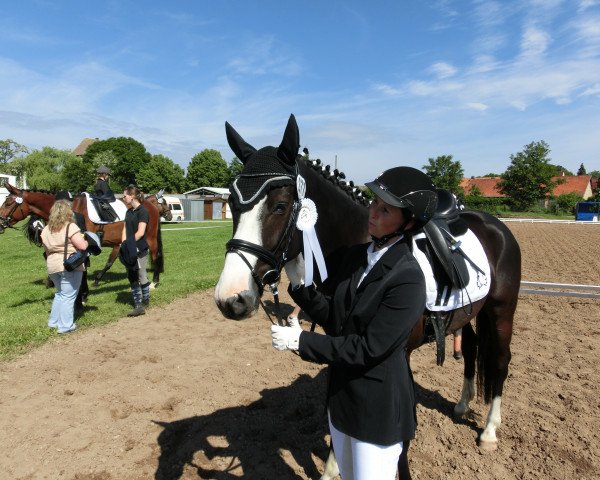 dressage horse Vermentino (Trakehner, 2009, from Alter Fritz)
