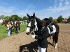 dressage horse Vermentino (Trakehner, 2009, from Alter Fritz)