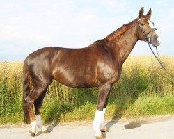 broodmare Fantin (Westphalian, 2003, from Florestan I)